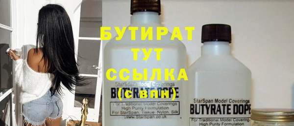 гашик Вяземский