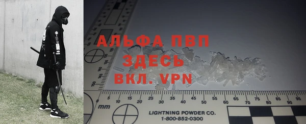 гидра Вязники