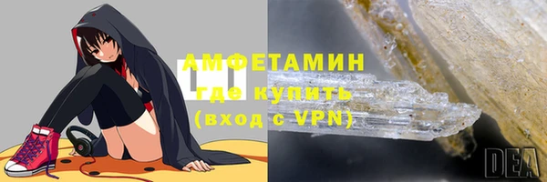 гашик Вяземский