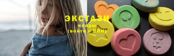 гашик Вяземский