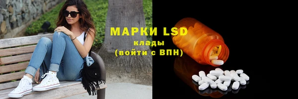 гидра Вязники
