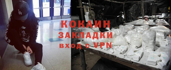 гашик Вяземский