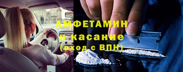 гашик Вяземский