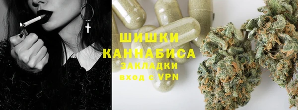 гашик Вяземский